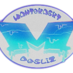 Sonido y Skateboards .