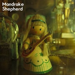 Mandrake Shepherd