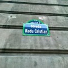 Cristian Radu 2