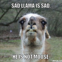 Joeybananakarmallamadowns