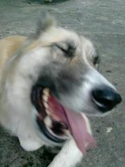 SergioBian cover art