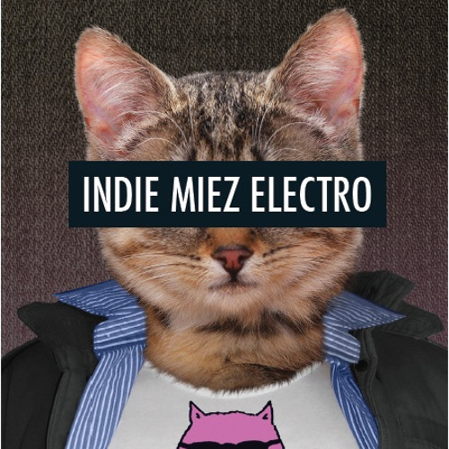 INDIE MIEZ ELECTRO’s avatar