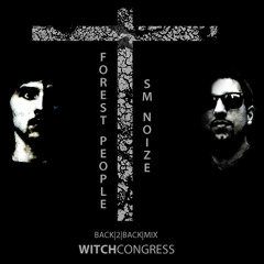 Witch_Congress