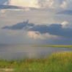 Theresa Johnson Kiwak