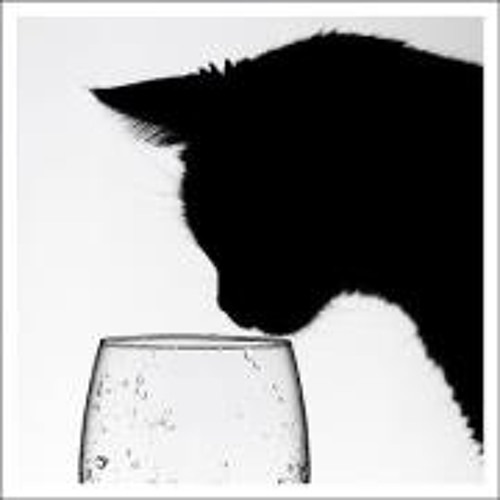 Stream 化物語 Op 5 Sweet Sugar Nightmare By Spearmint Choi Listen Online For Free On Soundcloud