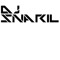 DJ Snaril