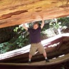 DAVE@666 ACOUSTIC CRAP