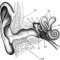 Infinity Noize