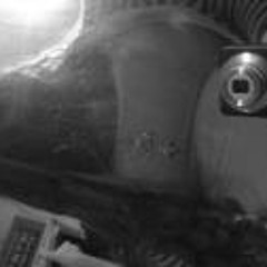 Payton Mackenzie Watkins