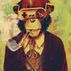 Gabriel Fassarella Wyatt