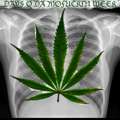 GANG FREESTYLE BIATCH