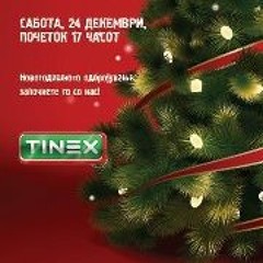 Tinex Zebra Christmas