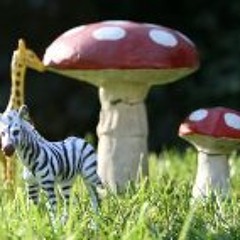 Simone de Brushcutter