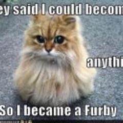 India Nichele Perrotta