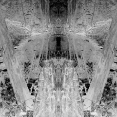 Immortal Technique - Dance with the devil (slowed)