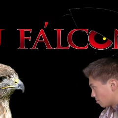 DJ FALCON OFFICIAL