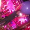 susi.242