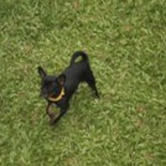 Charles Charlton-walker