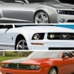 Alex Seth Schaubroeck