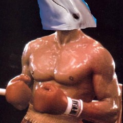 DolphinLundgren