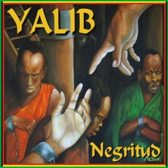 Yalib2011
