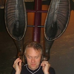 Howard Live Acoustic Lbro