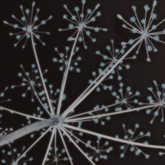 MountPleasantBroadcasting