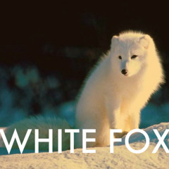 White Fox