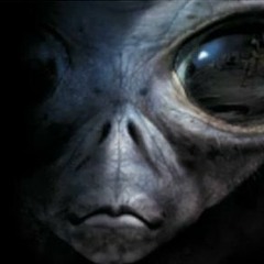 ๏̯͡Skungyfunkyitis٩๏̯͡๏)3