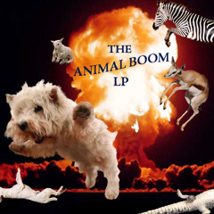 Stream Animal Boom music | Listen to songs, albums, playlists for free on  SoundCloud