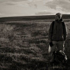 Misty Mountains (Howard Shore)