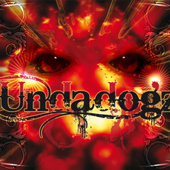 undadogz