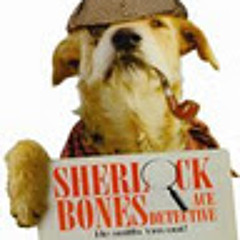 Obedience Please Dog