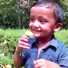 chekavar