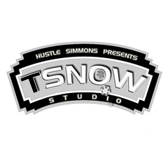 TSnowStudio