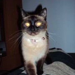 Edith Ann Ortman-Marsh