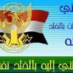 Mohamed Abdalgadir