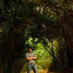 Pharan Tanveer