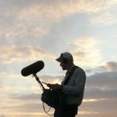 Free field recordings