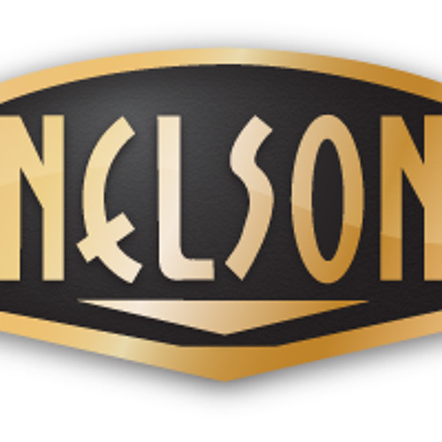 Nelson Instruments’s avatar