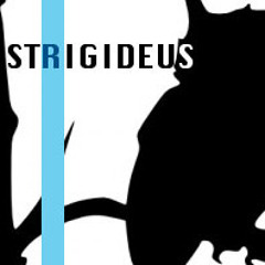 Strigideus