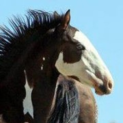 Terry N Angelina Turnbull