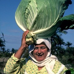 avoska