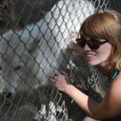 Rise of a digital nation