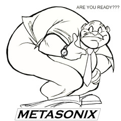 metasonix