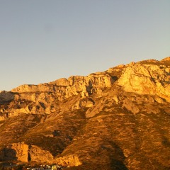 Free Loving Foundation