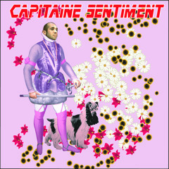 Capitaine Sentiment