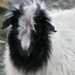 Nachiketh Rahul (Kashi BoOm)