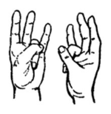 People's Choice Through People's Voice