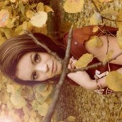 Honigkuchenpferdchen